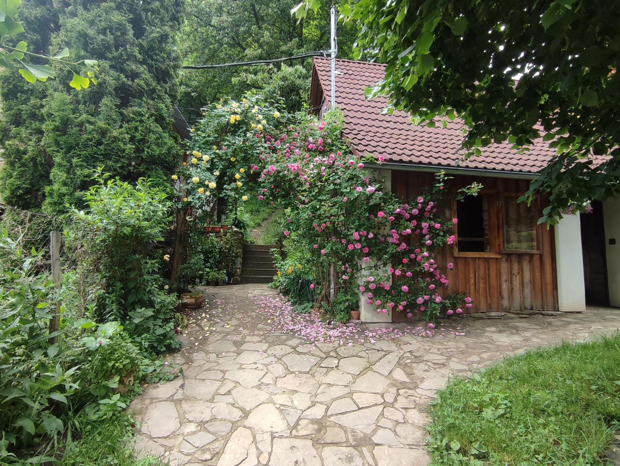 Stodola Svaty Stepan Apartamento Bylnice Exterior foto